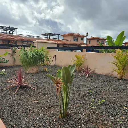 Oasis Ruth 8